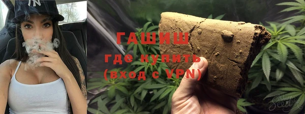 гидра Богородск