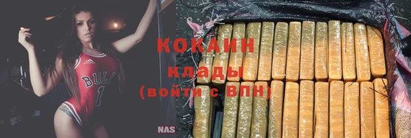 сатива Богданович