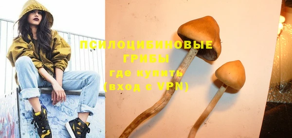 мескалин Богородицк