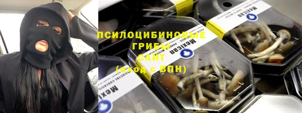 сатива Богданович