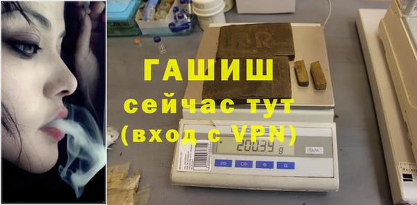 гидра Богородск
