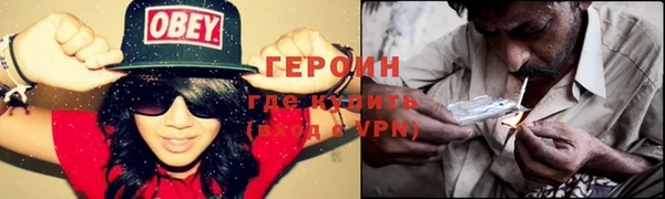 гидра Богородск
