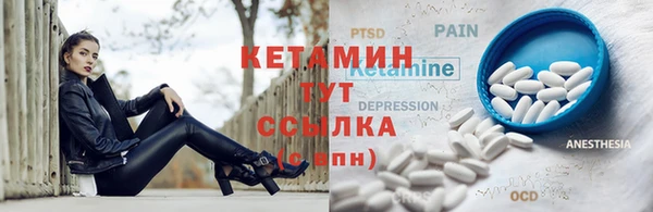 гидра Богородск