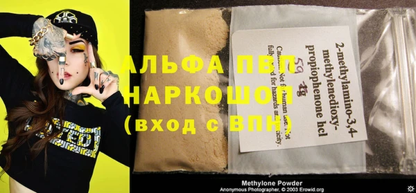сатива Богданович