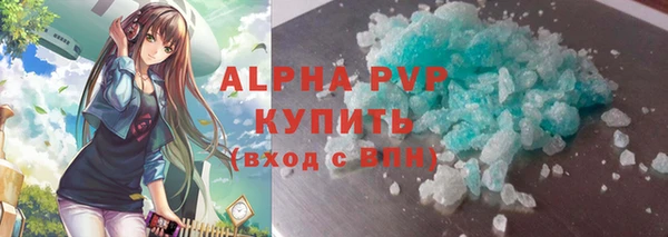 сатива Богданович