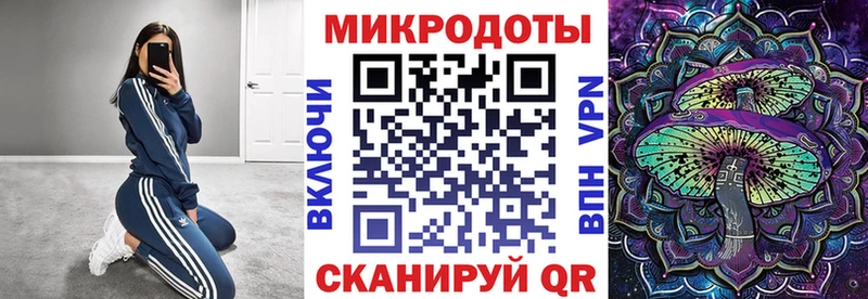 Галлюциногенные грибы MAGIC MUSHROOMS  как найти наркотики  Мураши 